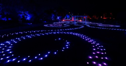 A nighttime scene featuring swirling patterns of blue and purple lights in a dark outdoor setting.