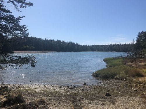 A serene lake surrounded by trees and grassy banks under a clear blue sky.