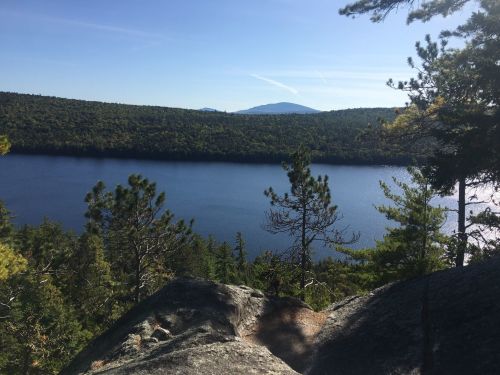 A serene view of a lake surrounded by lush green trees and distant mountains under a clear blue sky.