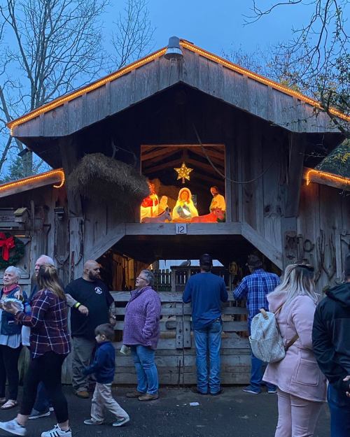 A wooden nativity scene illuminated with lights, surrounded by people enjoying a festive outdoor event.