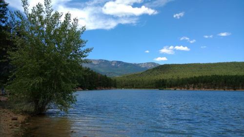 A serene lake surrounded by lush greenery and mountains under a bright blue sky with scattered clouds.