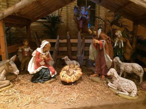 Nativity scene with Mary, Joseph, and baby Jesus surrounded by animals and figures in a rustic setting.