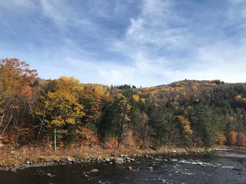 A serene river flows beside vibrant autumn trees, with colorful foliage against a backdrop of rolling hills and a blue sky.