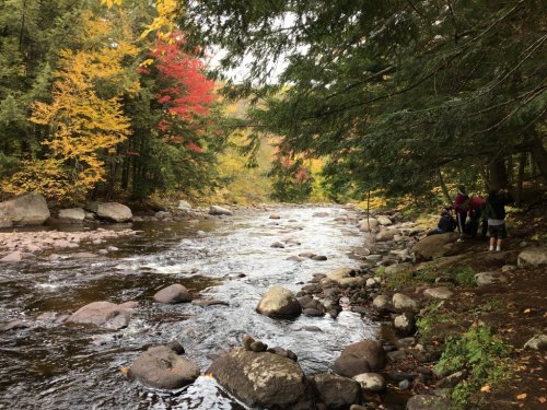 A serene river flows through a forest with autumn foliage, featuring colorful leaves and rocky banks.