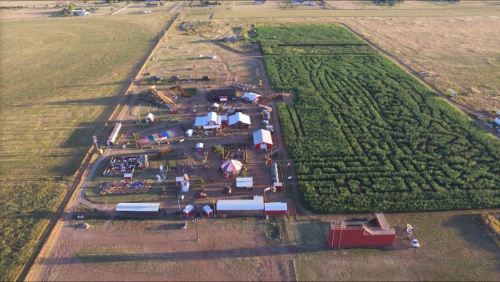 Aerial view of a farm with various structures, fields, and a corn maze, surrounded by open land.