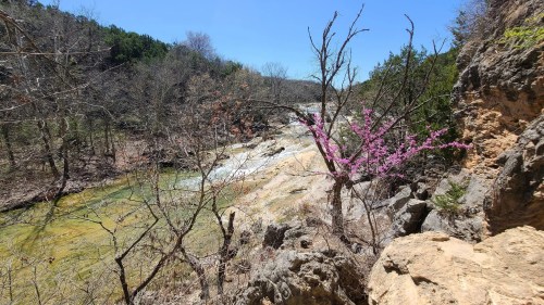 A scenic view of a river with rocky banks, surrounded by trees, featuring a blooming pink tree in the foreground.
