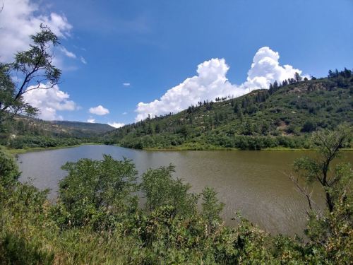 A serene lake surrounded by lush greenery and hills under a bright blue sky with fluffy white clouds.