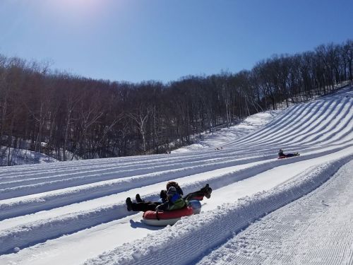 Two people tubing down a snowy slope on a sunny day, surrounded by trees and snow-covered hills.