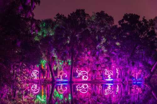 Colorful neon flamingos illuminate a dark, lush landscape reflected in a tranquil water body at night.