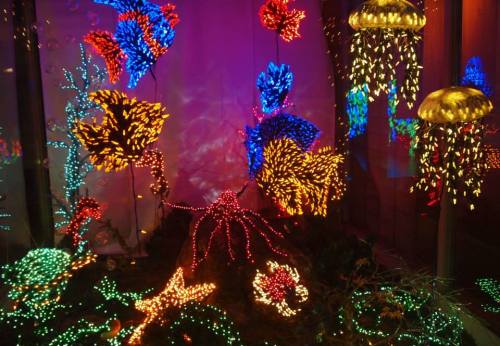 Colorful holiday lights shaped like sea creatures, including jellyfish, fish, and an octopus, create a vibrant underwater scene.