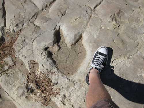 A person’s foot next to a large dinosaur footprint in rocky terrain.