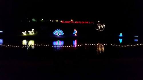 Colorful light displays of swans, a peacock, and a ship reflected on water at night, with a welcome sign above.