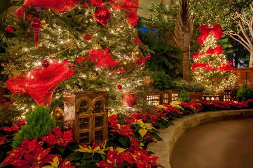 Festively decorated Christmas trees with red bows and ornaments, surrounded by poinsettias and twinkling lights.