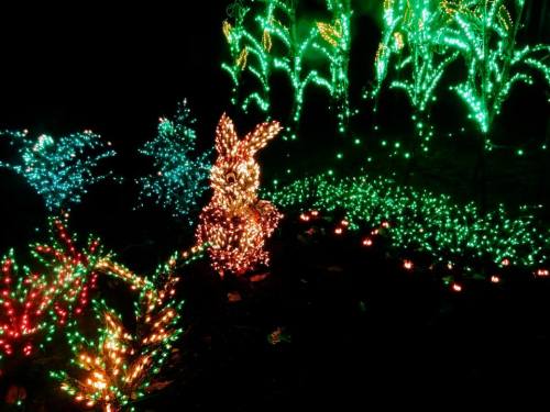 A colorful display of holiday lights featuring a bunny surrounded by green and blue illuminated plants.
