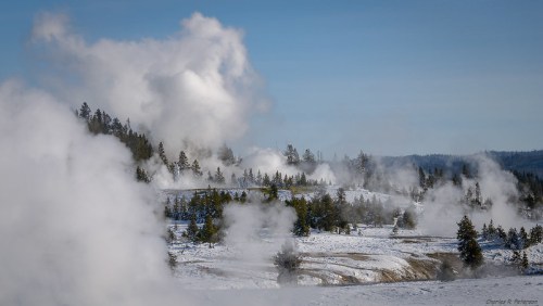 Steam rises from geothermal features in a snowy landscape, surrounded by evergreen trees under a clear blue sky.