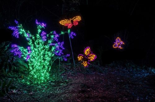Colorful illuminated butterflies and flowers in a dark setting, creating a vibrant, enchanting atmosphere.