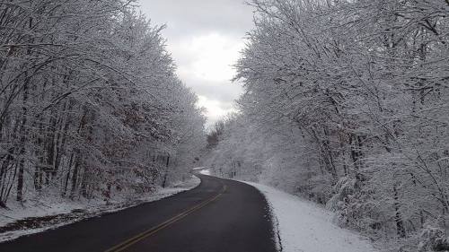 A winding road surrounded by snow-covered trees under a cloudy sky.