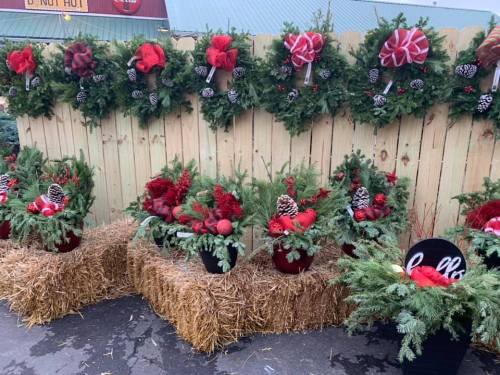 A festive display of holiday wreaths and arrangements with red accents, pinecones, and greenery on a wooden backdrop.