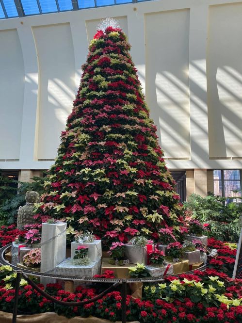 A large Christmas tree made of red and green poinsettias, decorated with gifts, in a bright indoor setting.