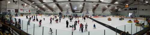 A busy ice rink filled with skaters and families enjoying ice activities, including ice skating and bumper cars.