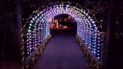 A beautifully lit archway made of colorful lights, leading into a dark, festive pathway.