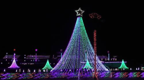 A colorful light display featuring a large Christmas tree with a star on top, surrounded by smaller trees and festive decorations.