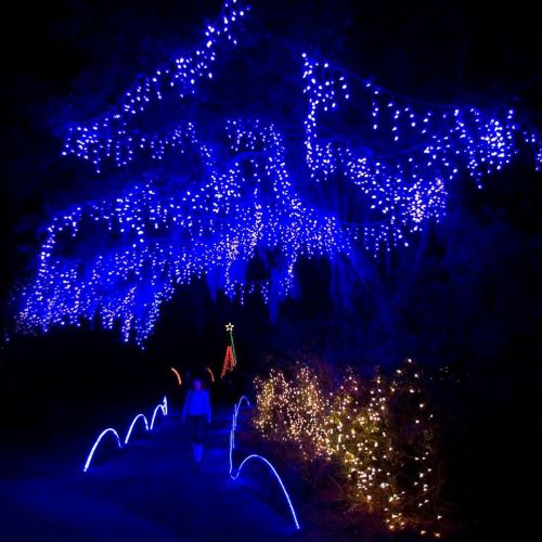 A pathway illuminated by blue and white lights, with a person walking under a canopy of glowing decorations.