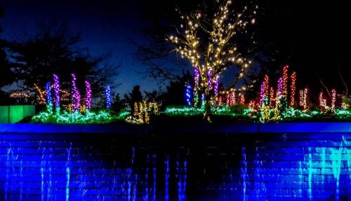 A nighttime scene featuring colorful lights on trees and plants, with a blue-lit water feature in the foreground.