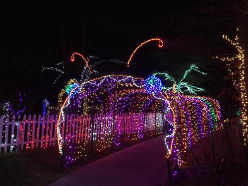 A colorful, illuminated archway made of lights, leading down a path surrounded by festive decorations at night.