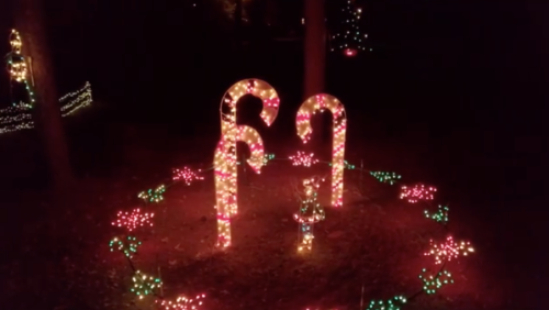 Colorful holiday lights shaped like candy canes surrounded by festive decorations in a dark outdoor setting.