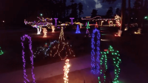 Colorful holiday lights illuminate a garden at night, featuring various shapes and trees in a festive display.