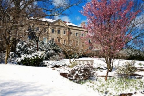 A snow-covered landscape features a historic building and a blooming pink tree under a bright blue sky.