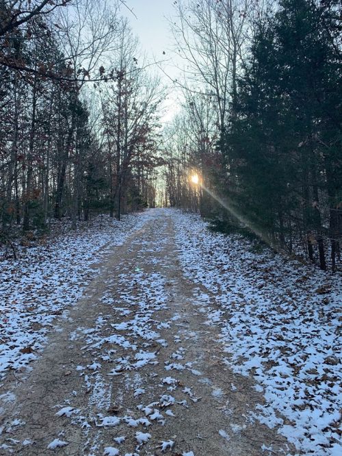 A snowy path through a forest, with sunlight peeking through the trees in the distance.