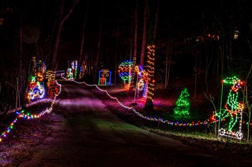 A winding road illuminated by colorful holiday lights and decorations among trees at night.