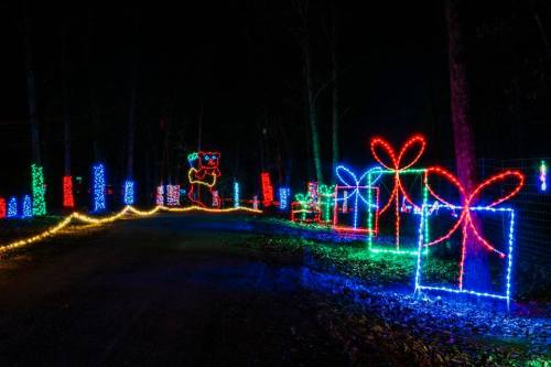 Colorful holiday lights illuminate a dark path, featuring gift boxes and a festive character in a wooded area.