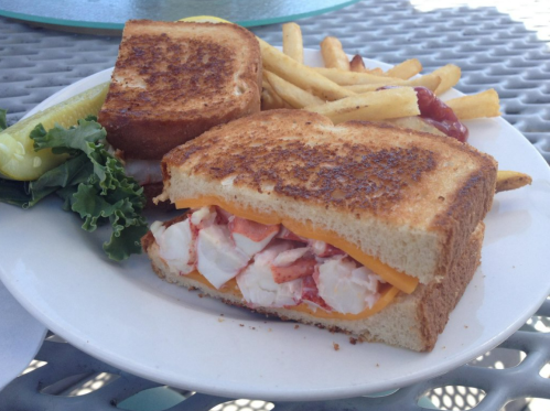 A grilled lobster sandwich with cheddar cheese, served with fries, a pickle, and lettuce on a white plate.