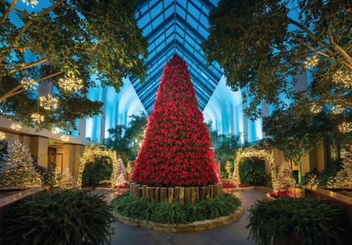 A large red Christmas tree surrounded by greenery and twinkling lights in a beautifully decorated indoor space.
