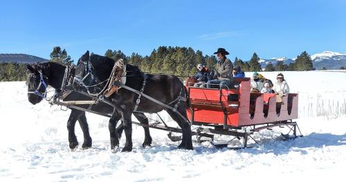 A horse-drawn sleigh carries passengers through a snowy landscape with mountains in the background.