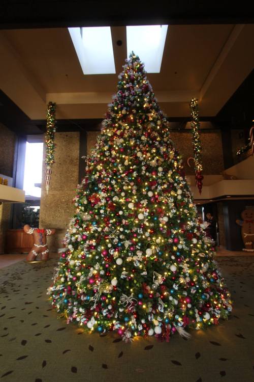 A beautifully decorated Christmas tree with colorful ornaments and lights, set in a festive indoor space.