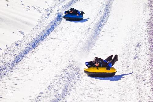 Two people sledding down a snowy hill on inflatable tubes, surrounded by a winter landscape.