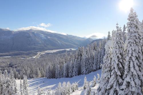 A snowy landscape with tall evergreen trees, mountains in the background, and a clear blue sky. Sunlight glimmers.