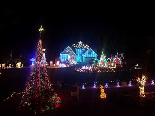 A festive house illuminated with colorful Christmas lights, featuring a decorated tree and various holiday displays.