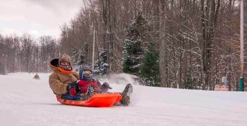 Two people sledding down a snowy hill, surrounded by trees, with others in the background enjoying the winter fun.