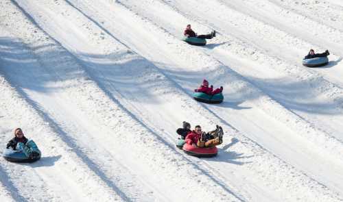 People enjoying snow tubing down a snowy slope on colorful inner tubes.