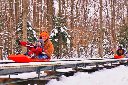 A child and an adult enjoy sledding down a snowy track in a forest, with trees covered in snow around them.