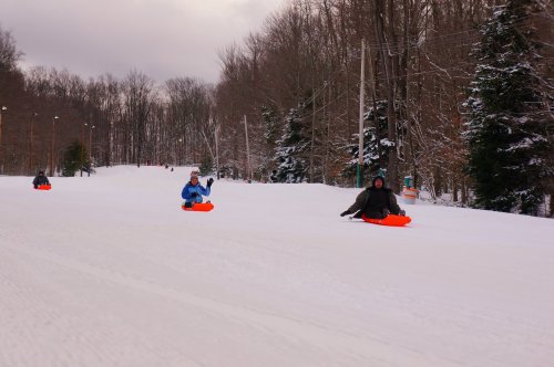 A group of people sledding down a snowy hill, surrounded by trees, on a cloudy winter day.