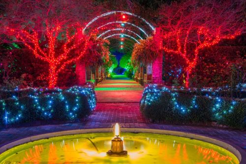 A vibrant garden path illuminated with colorful lights, featuring a fountain in the foreground and trees adorned with red lights.