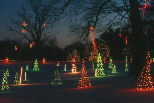 Colorful Christmas lights illuminate trees and decorations in a snowy landscape at dusk.