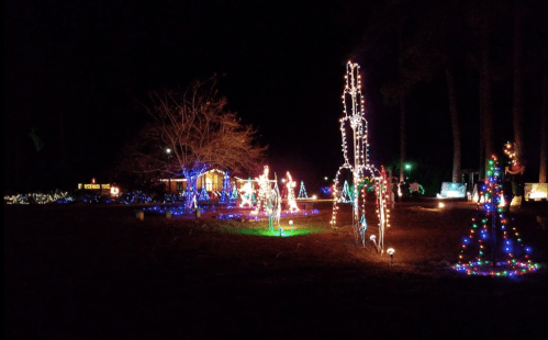 Colorful Christmas lights illuminate a festive outdoor scene at night, featuring trees and decorations.
