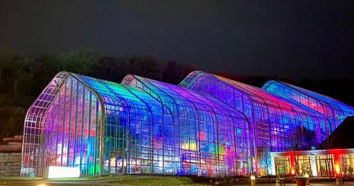 Colorful lights illuminate large glass greenhouses at night, creating a vibrant and enchanting atmosphere.